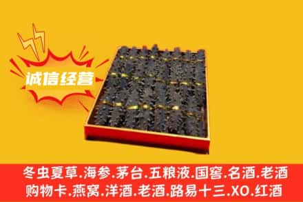 大兴安岭新林区回收海参