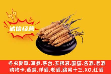 大兴安岭新林区回收冬虫夏草